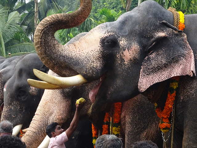 Kerala